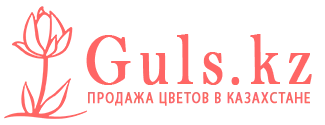 Кызылорда