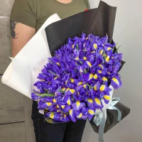 Blue irises